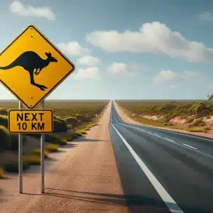 Watch for animals when driving in Liverpool NSW